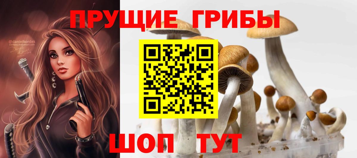 Псилоцибиновые грибы ЛСД Ноябрьск